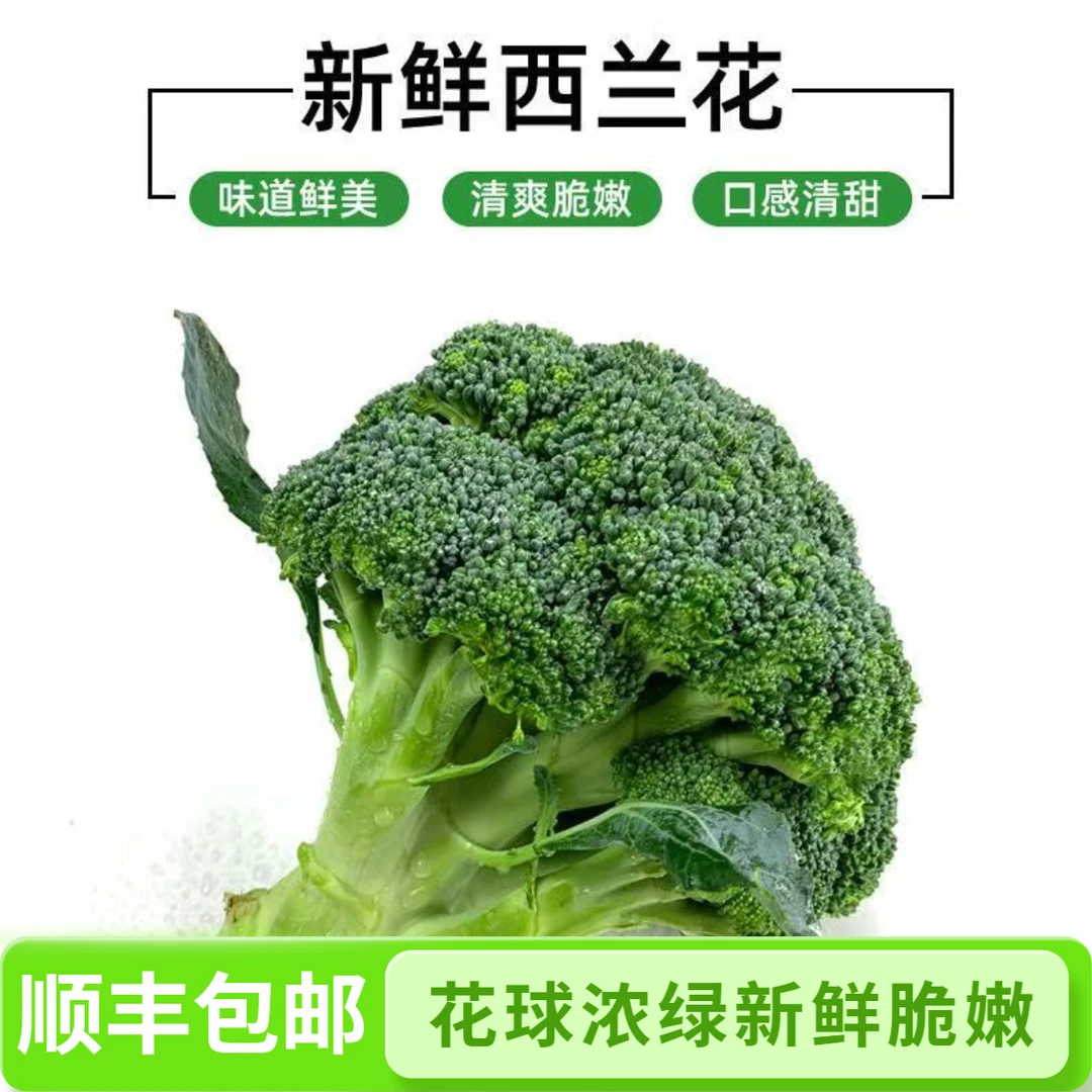 顺丰包邮新鲜西兰花绿色花菜菜花蓝花现摘营养花椰菜减脂西兰苔