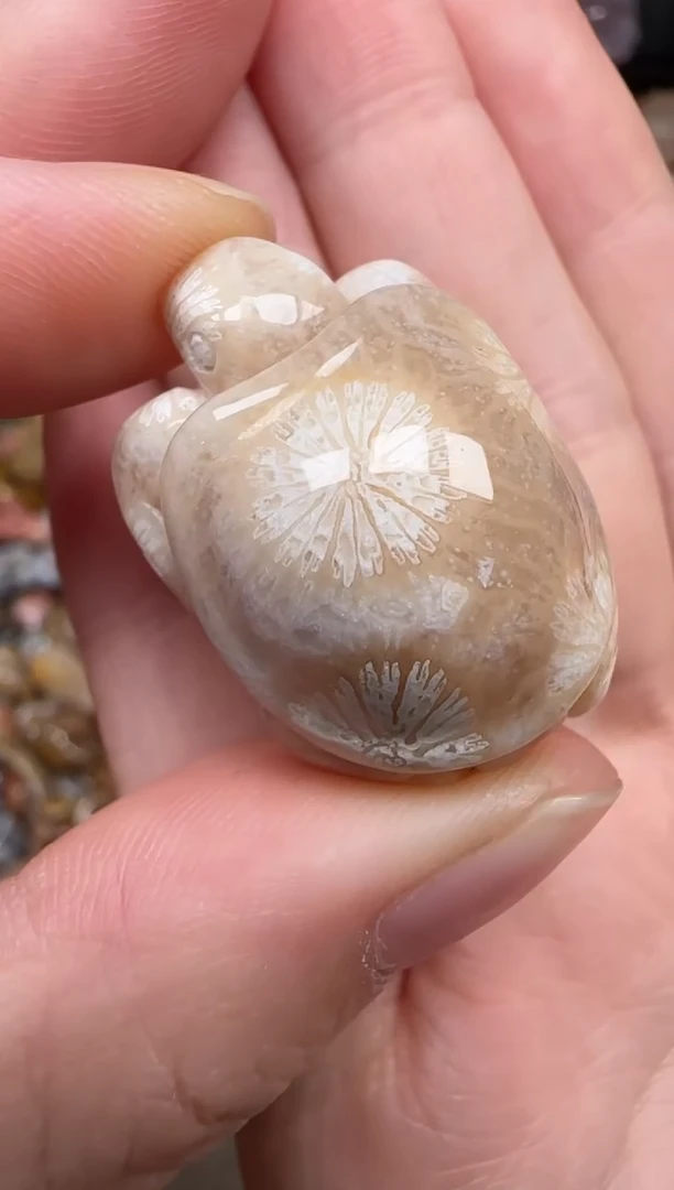 硅化珊瑚（珊瑚玉）未镶嵌颈饰626