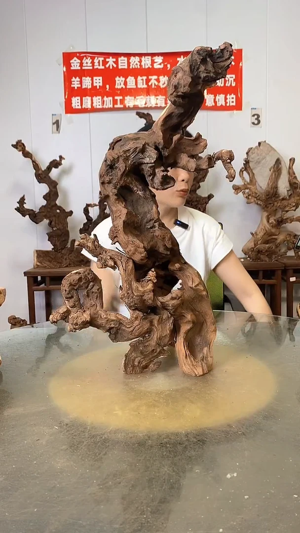 香榧木1**9金丝红木   羊蹄甲