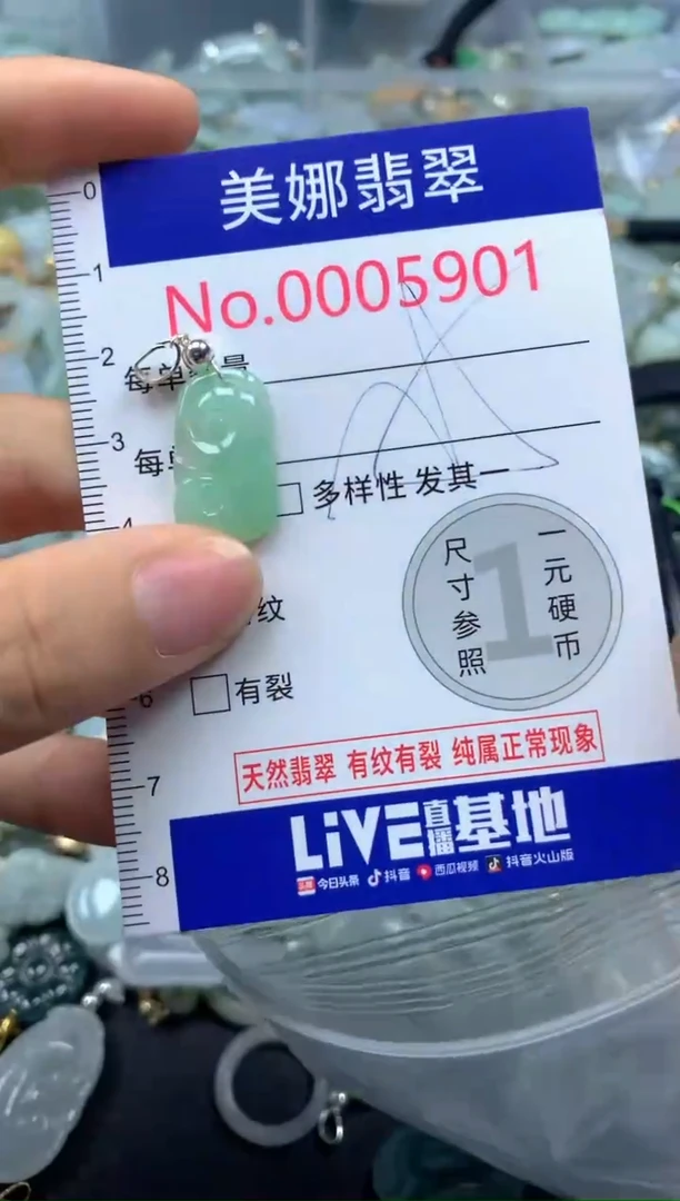 颈饰未镶嵌翡翠5901