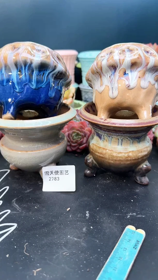 2 783   盆  4 个 默认微瑕