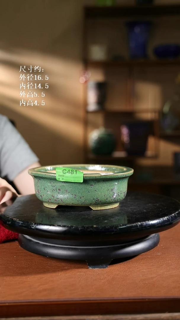 481    6.5寸椭圆盆