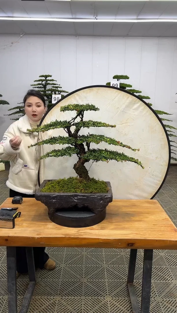 无花朵一物一拍一物一拍