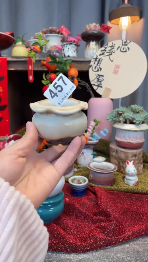 【闪购商品】摆件457知木小芳花盆编号