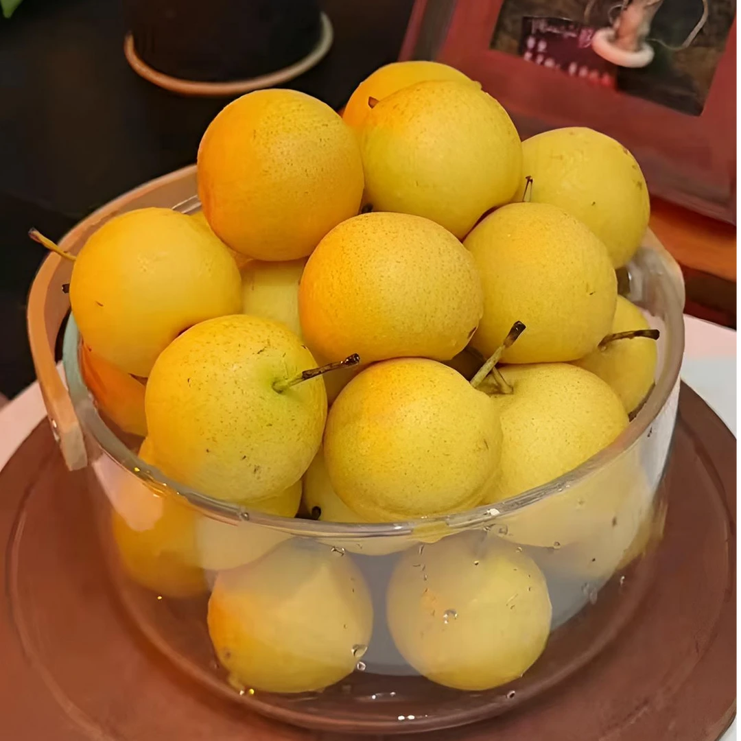 正宗鞍山南果梨包邮东北特产应季水果辽宁南果梨
