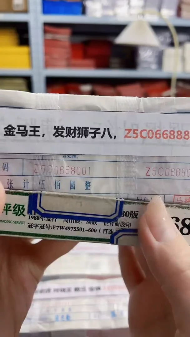 M 05，金马王，发财狮子八，Z5C0668888