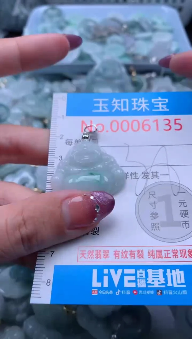 翡翠未镶嵌吊坠(不含链)6135