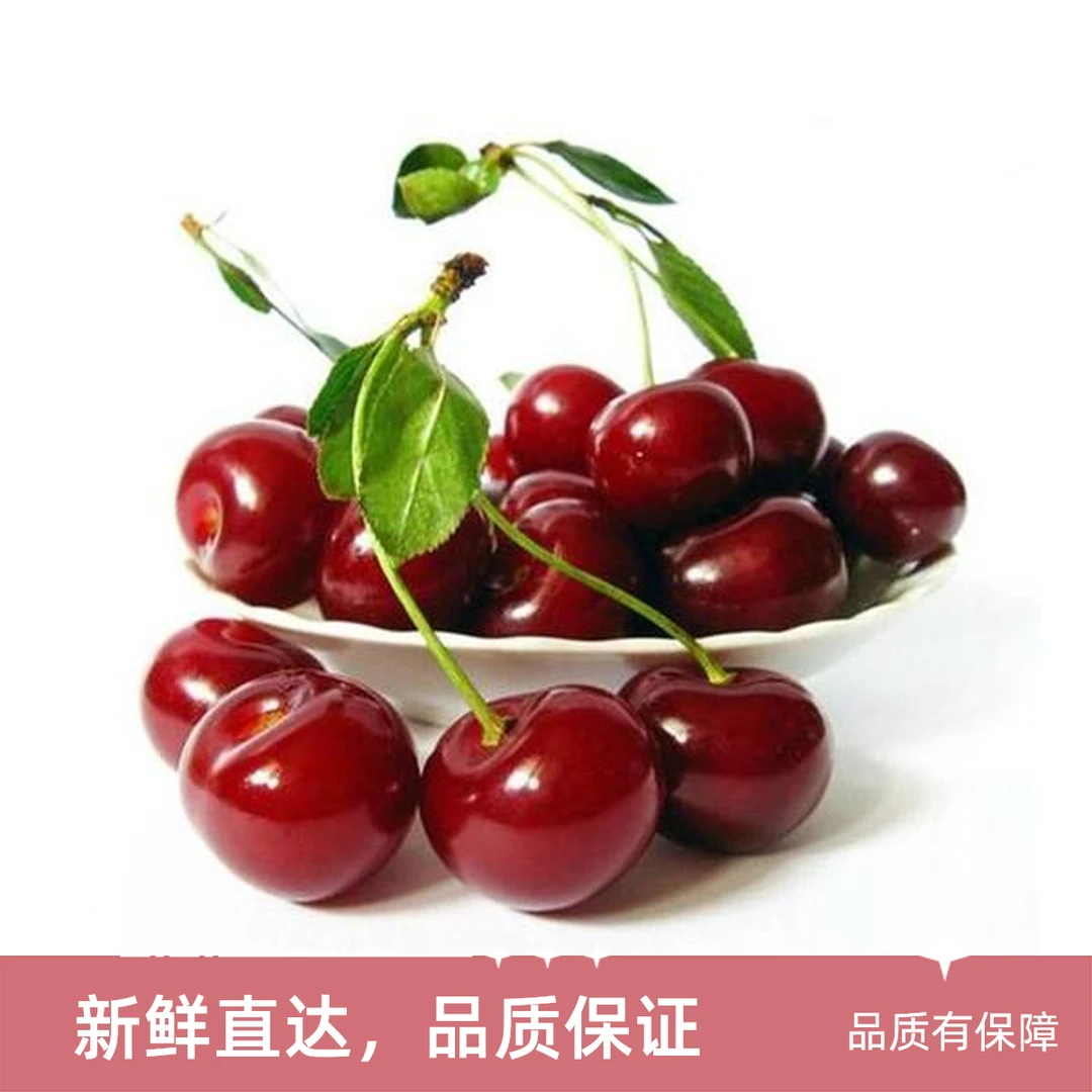 2斤礼盒装智利车厘子海运 J/JJ/JJJ