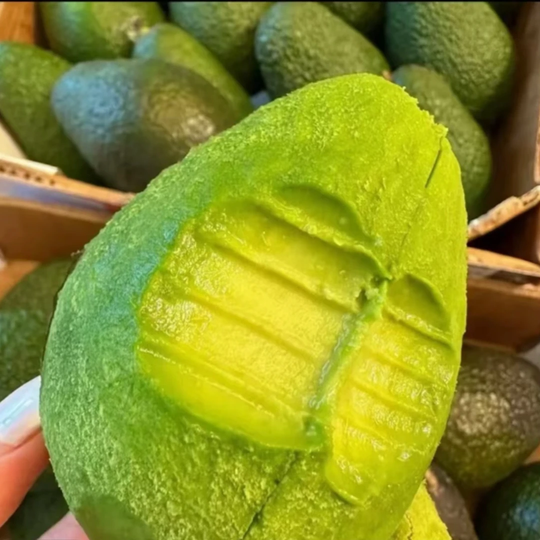 【国产云南基地】哈斯牛油果CZG新鲜采摘无丝绵密