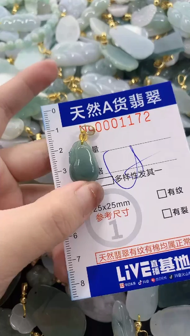 颈饰未镶嵌翡翠天然A货翡翠