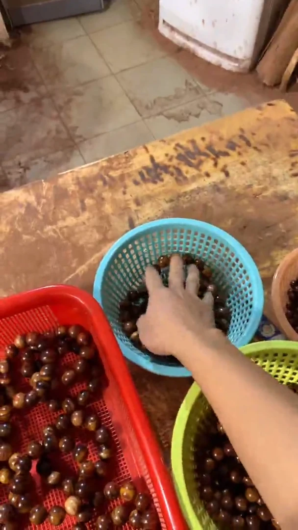 手串黄花梨/降香黄檀1.8海南黄花梨