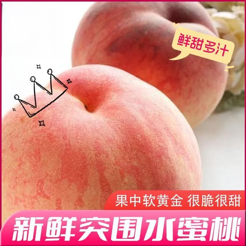 枣阳露天种植头茬爆甜突围水蜜桃果园现摘顺丰上门应季桃子