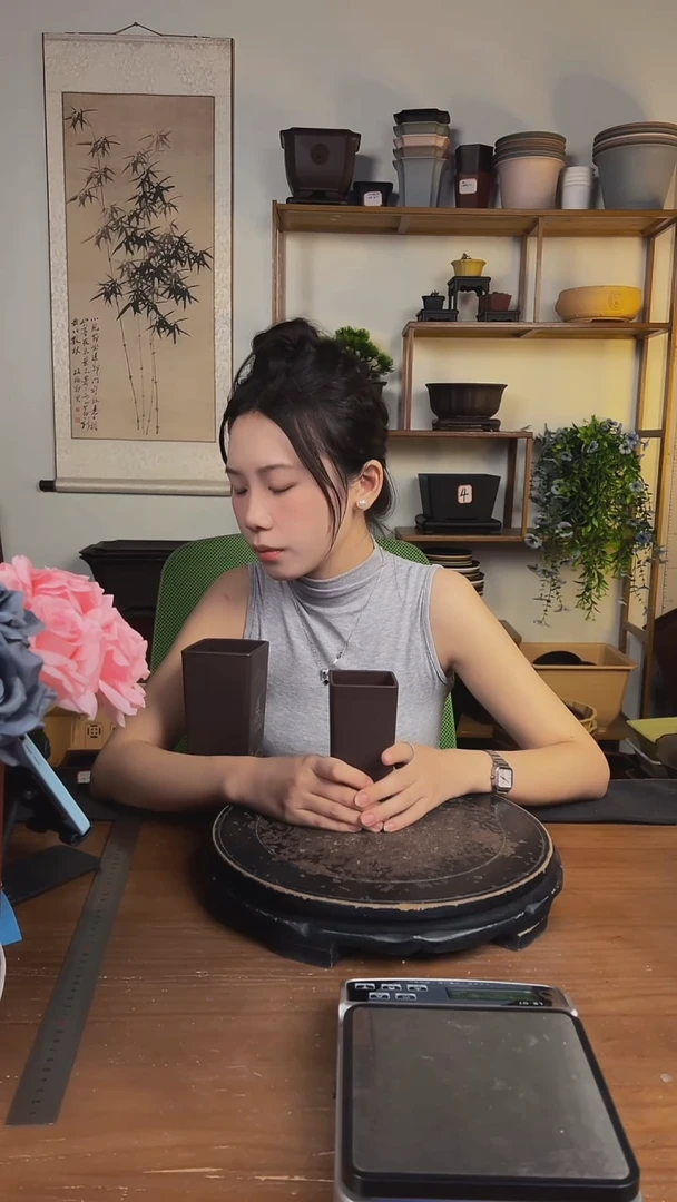 6.5签筒随机颜色5只装