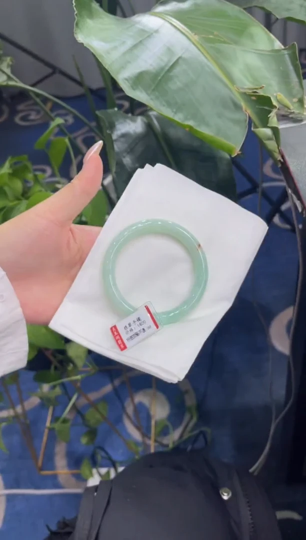 未镶嵌手镯翡翠8244****