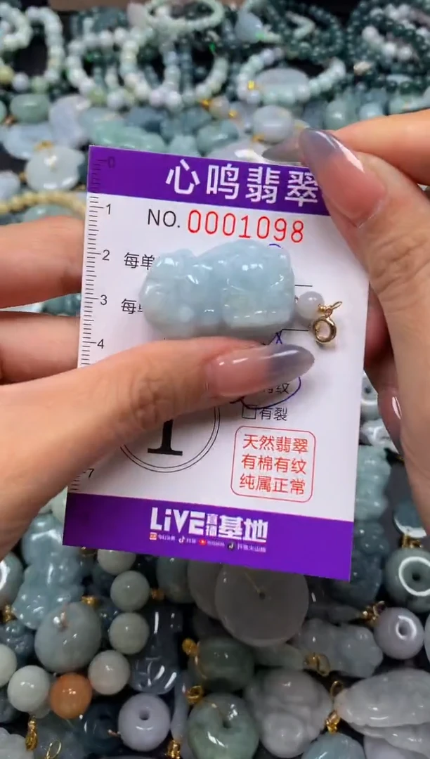 颈饰未镶嵌翡翠闪购001098