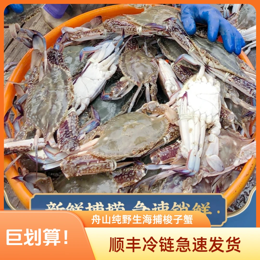 【冻蟹】舟山当季梭子蟹 肉母蟹 净重4斤/箱 8-10只 单只4两左右 码头直发