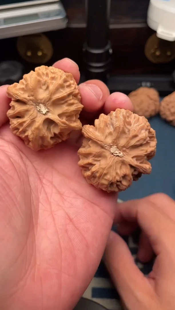 文玩核桃吊坠苹果园保40