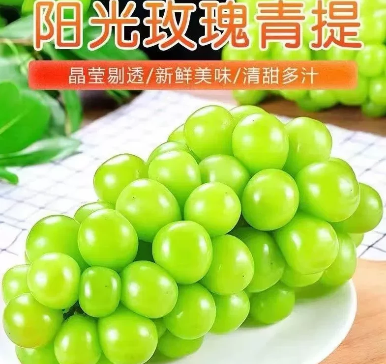 【尝鲜款 1大串】 阳光玫瑰无籽青提2~2.5斤规格 限1单 顺丰包邮
