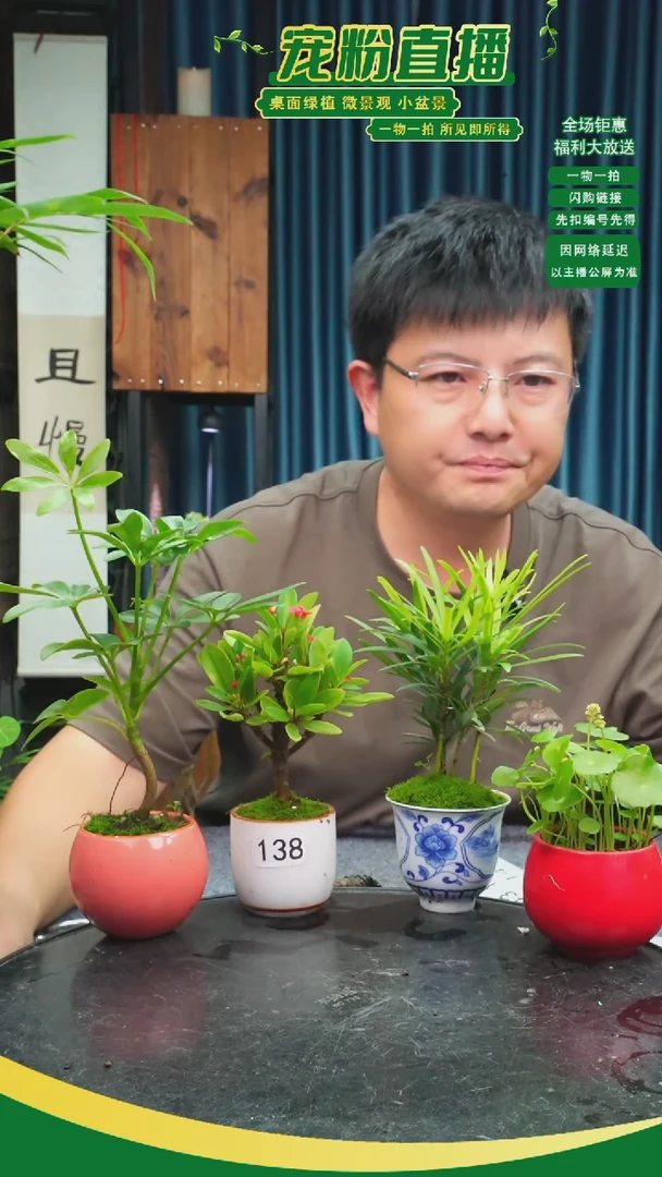 无花朵开***年苔藓微景观138号