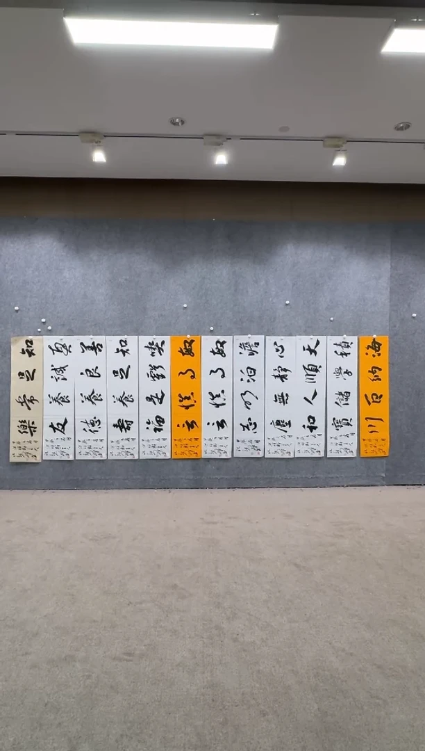 【闪购商品】书法pmw不二轩旗舰店书法ZXQ9