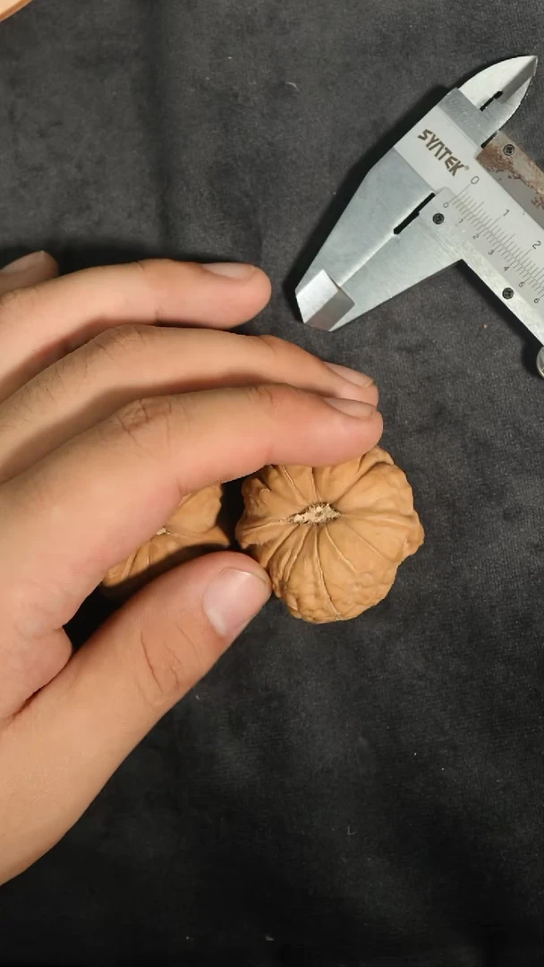 把件文玩核桃福利价格南瓜石膏底