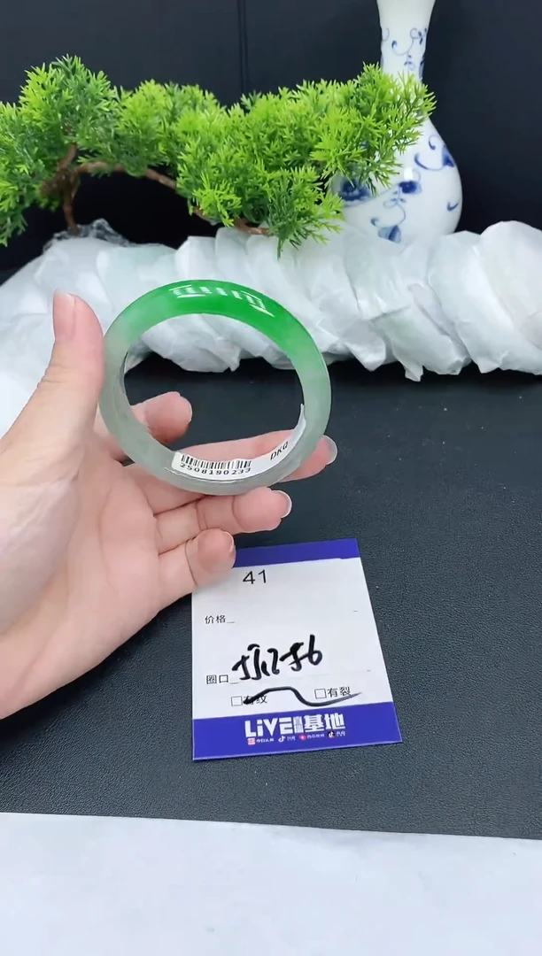 未镶嵌手镯翡翠41