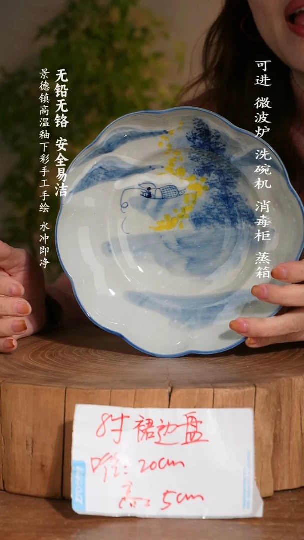 碗陶瓷景德镇高温瓷釉下彩手绘陶瓷