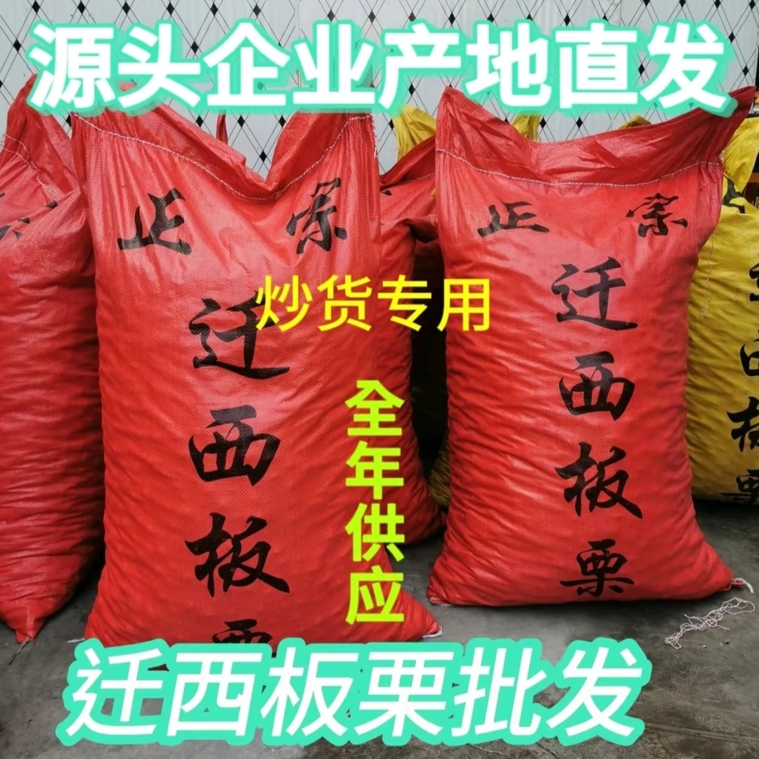 【迁西板栗批发】整包3113老树油栗子炒货店专用糖炒栗子好剥皮粉糯
