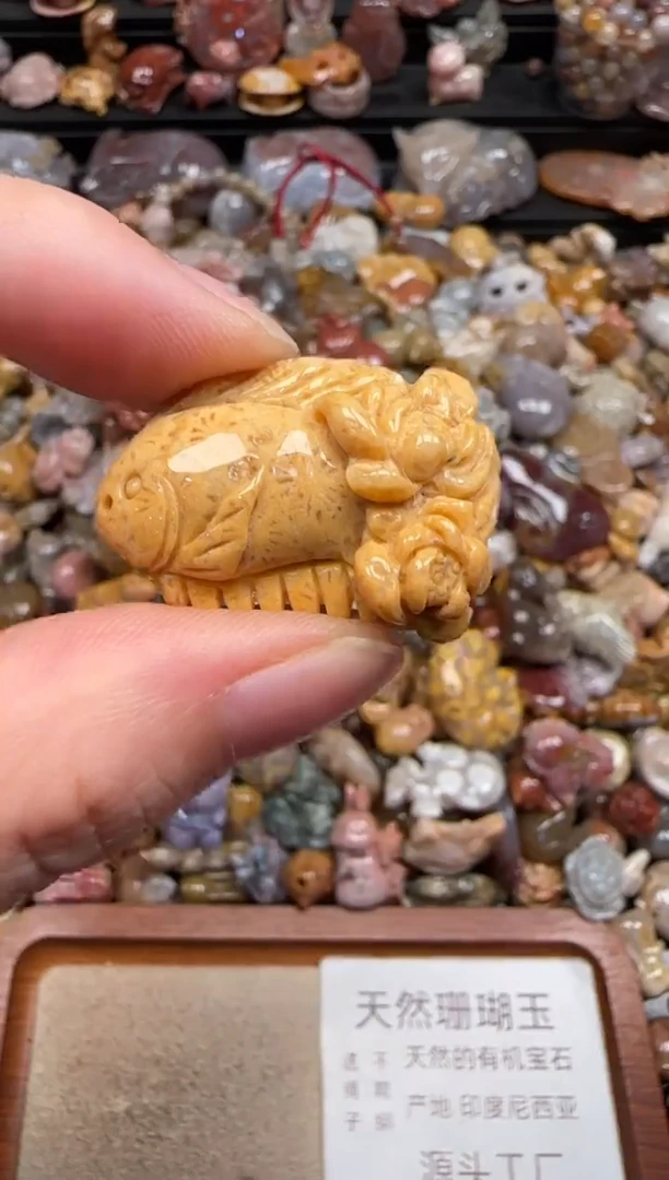 硅化珊瑚（珊瑚玉）未镶嵌颈饰693