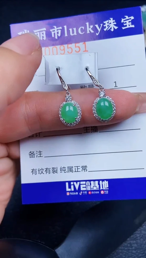 翡翠银S925镶嵌颈饰9551