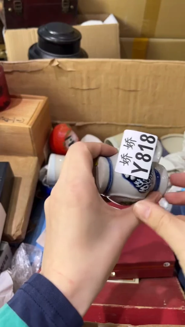 瓷片～**～818定向 ～鸿雁～