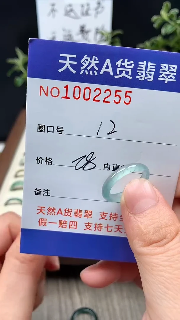 未镶嵌戒指翡翠12#