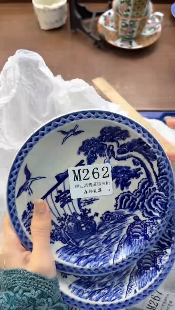 【闪购商品】瓷片----------M262