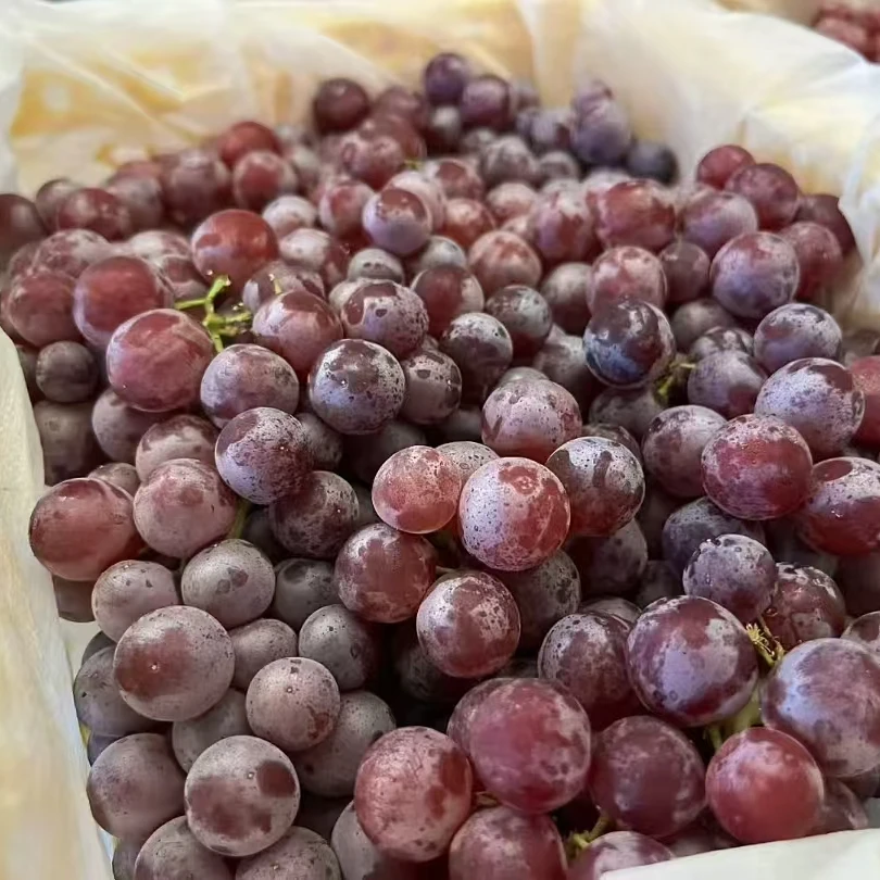 【张张优选 新疆玻璃翠葡萄】无籽葡萄 脆甜 9.5分甜0.5分酸新疆维吾尔自治区