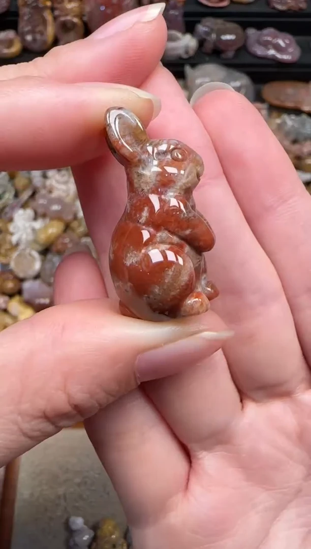 颈饰未镶嵌硅化珊瑚（珊瑚玉）146