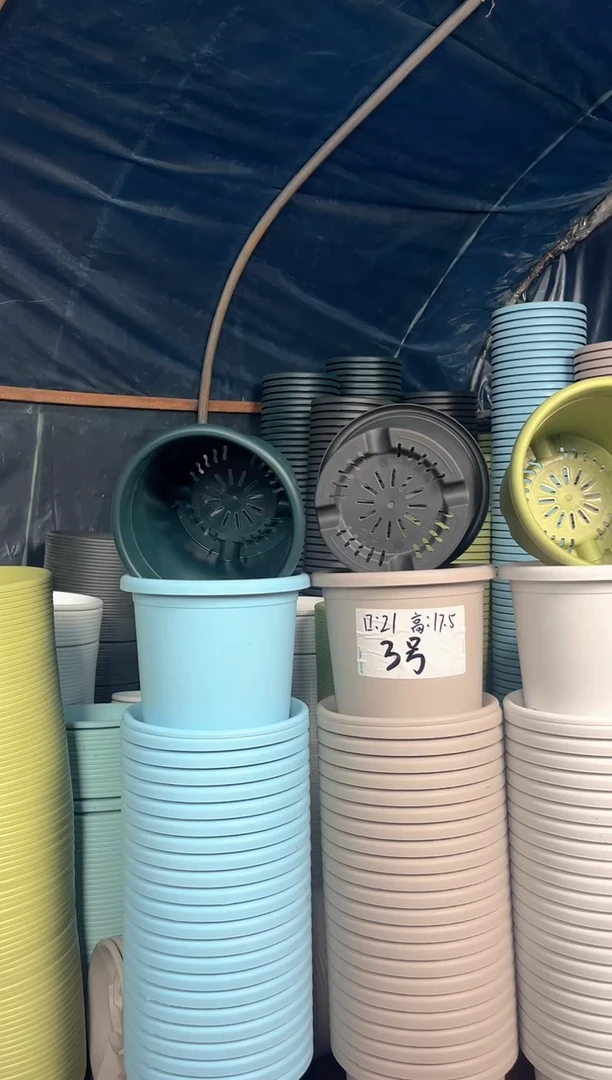 3号四季盆果绿色五个盆＋五个托盘