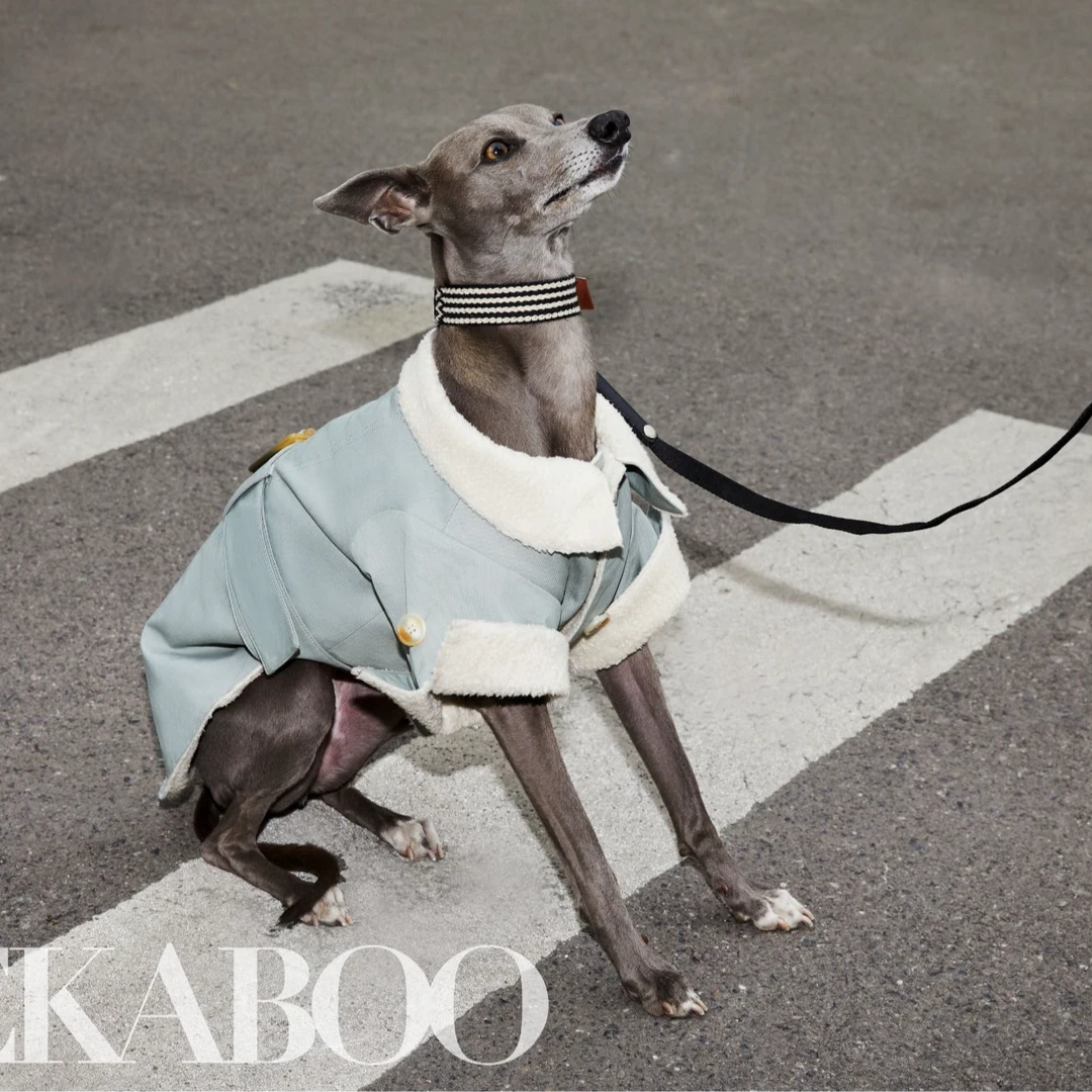 『卡萨布兰卡』风衣外套冬款户外加厚一体绒童装级里料