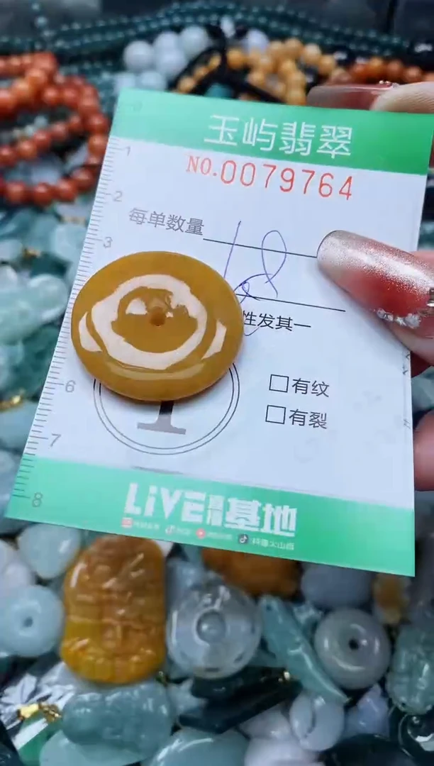 【闪购商品】翡翠颈饰未镶嵌闪购0079764多样性发其一