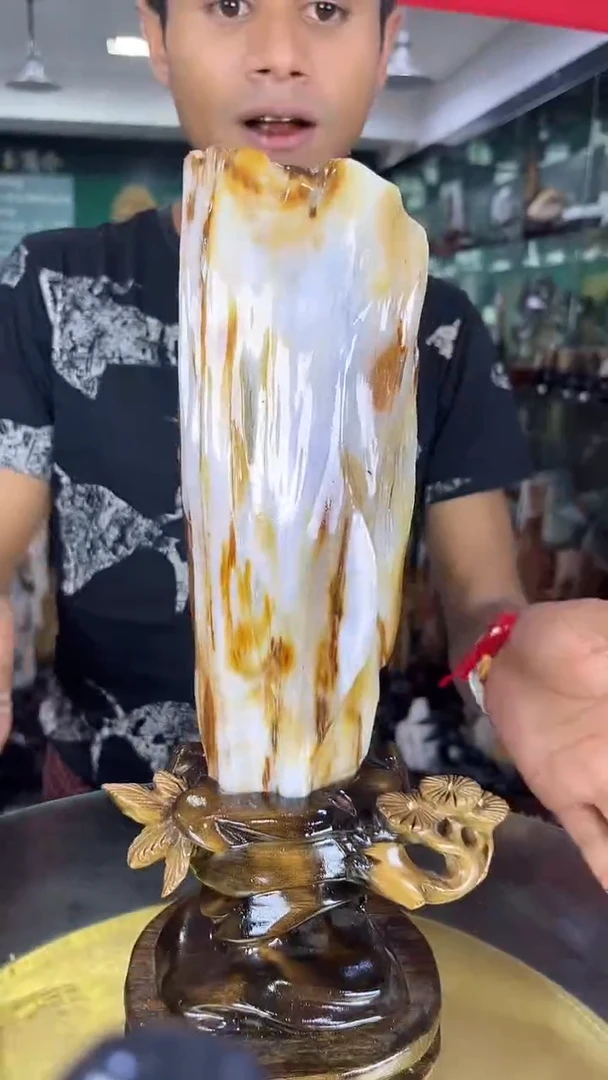 未镶嵌珠宝奇石硅化玉缅甸天然树化玉摆件