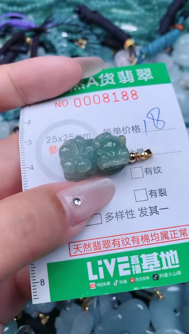 翡翠未镶嵌颈饰.0008188
