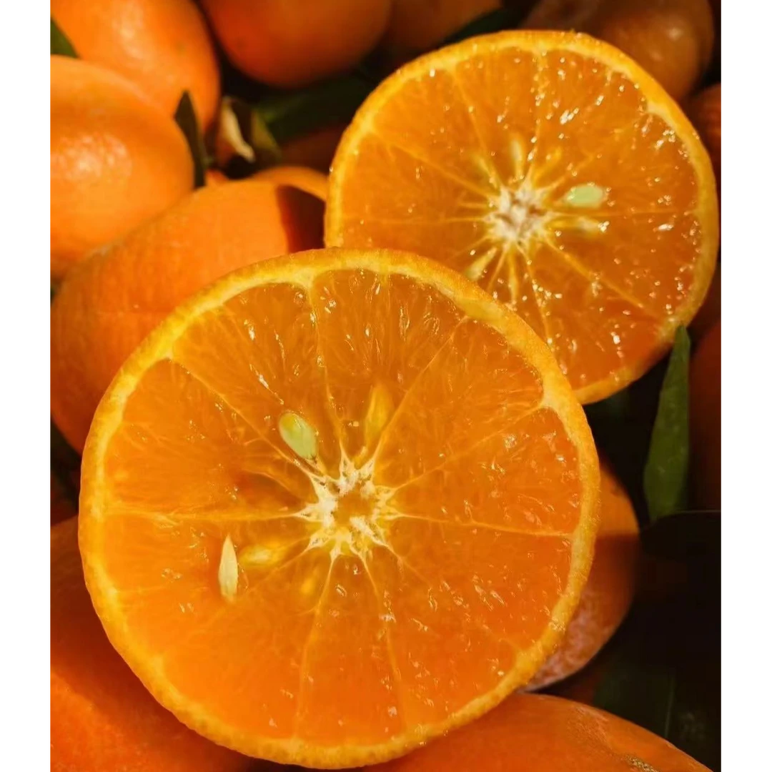 《果立方》空运鹅蛋柑 水分充足 一口爆汁 新鲜水果顺丰包邮g云南省