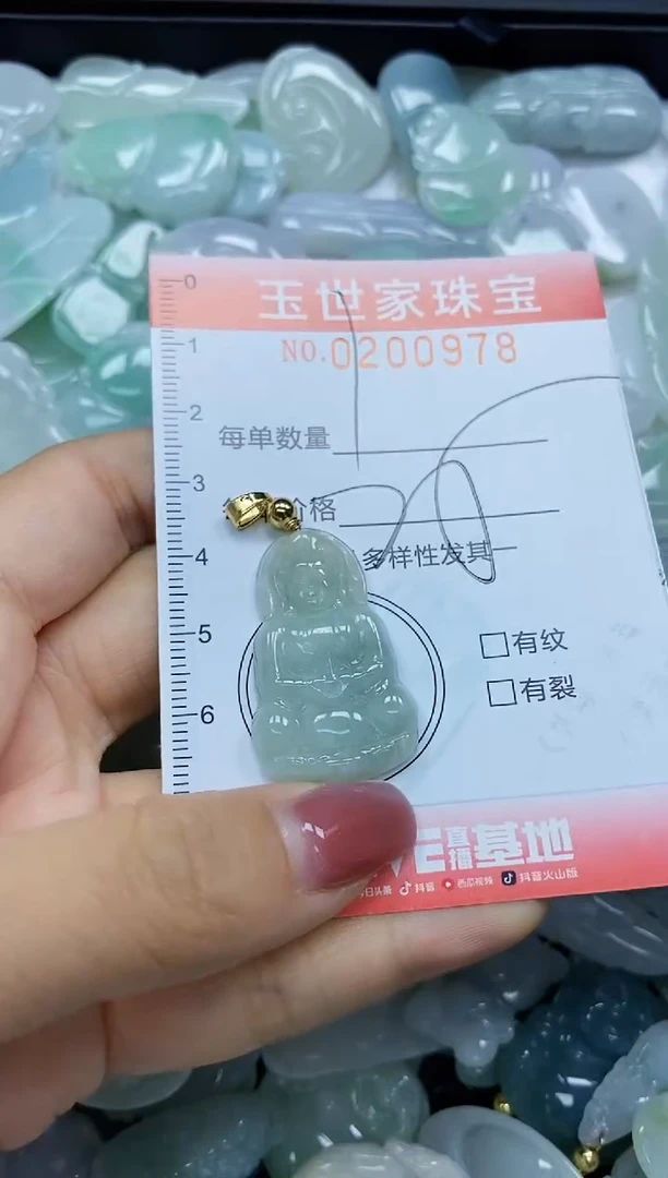 【闪购商品】翡翠颈饰未镶嵌闪购0200978