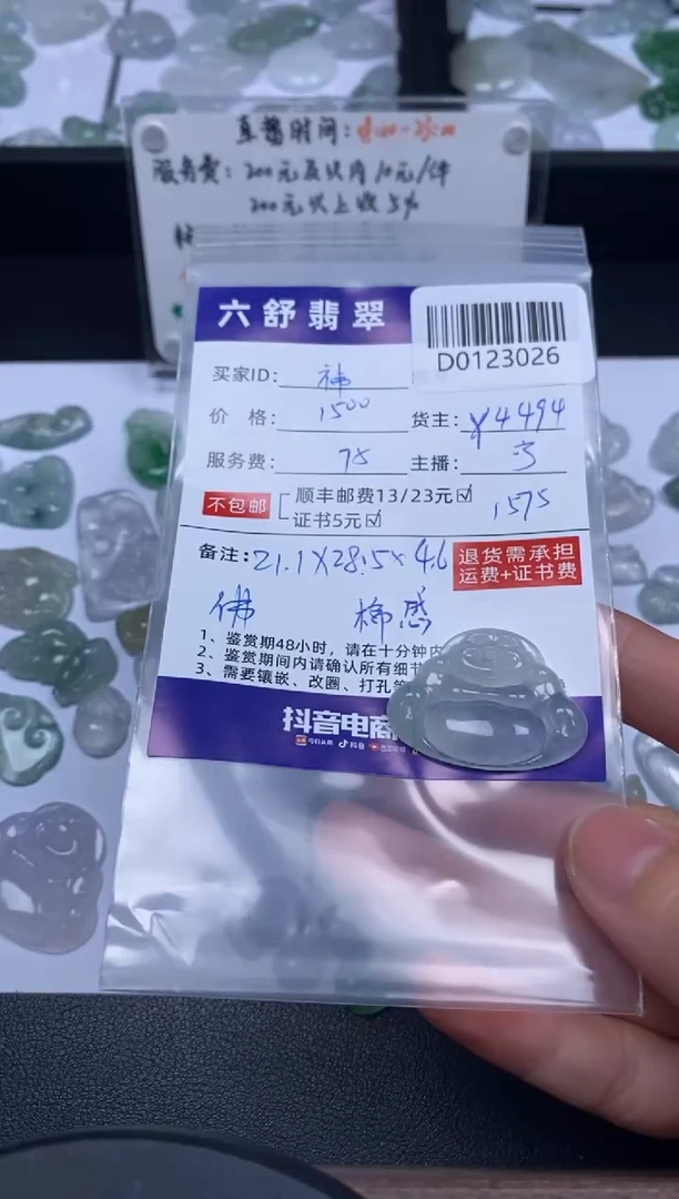 【闪购商品】翡翠吊坠(不含链)未镶嵌D0123026