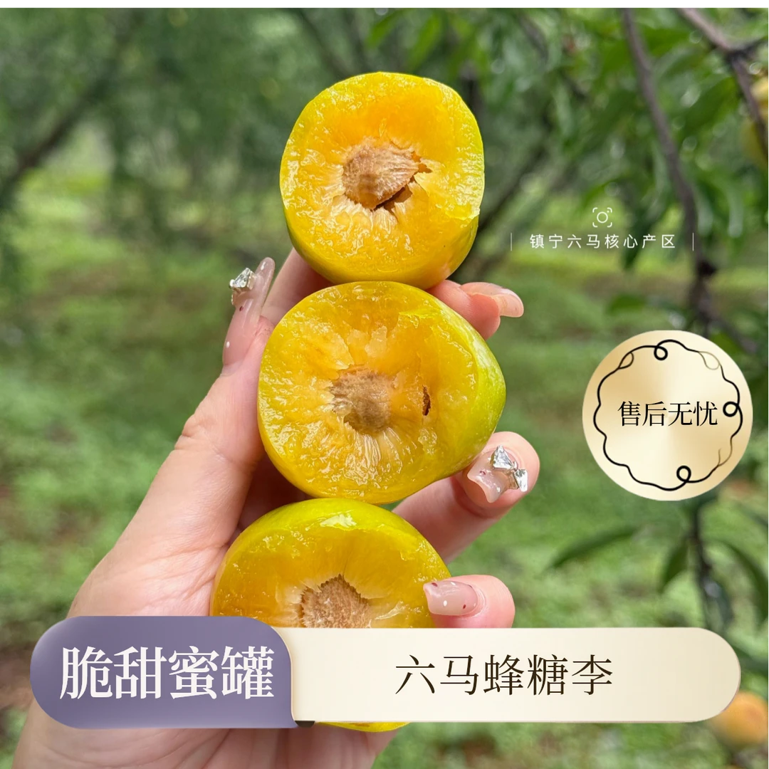 【韩美丽专属】正宗镇宁六马蜂糖李 脆甜蜜罐 口口满足 应季爆款
