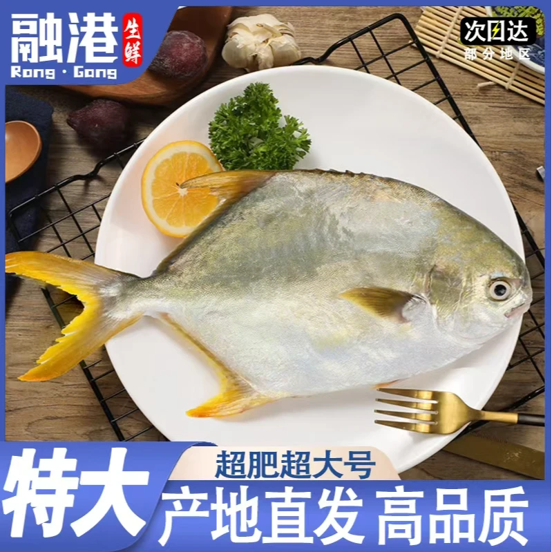 正宗深海金鲳鱼 海捕鲜活速冻 海鲜海鱼450g/包 拍一发四炸鱼