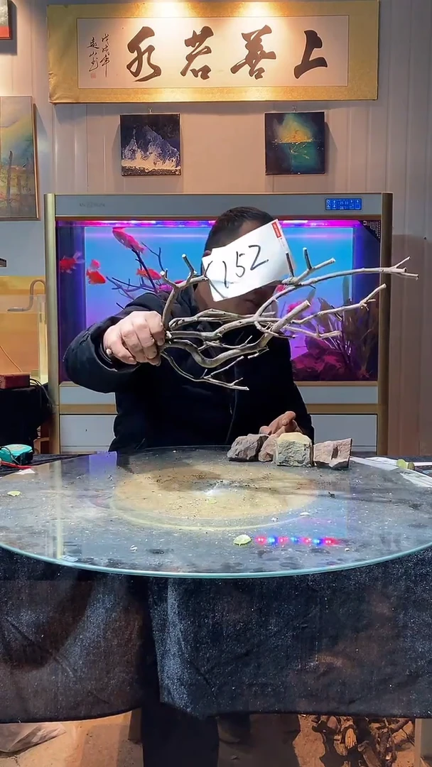 152号天然黄栎木一组