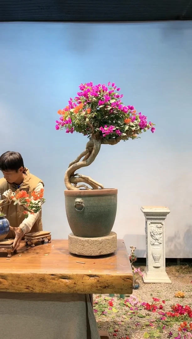 【闪购商品】AA921