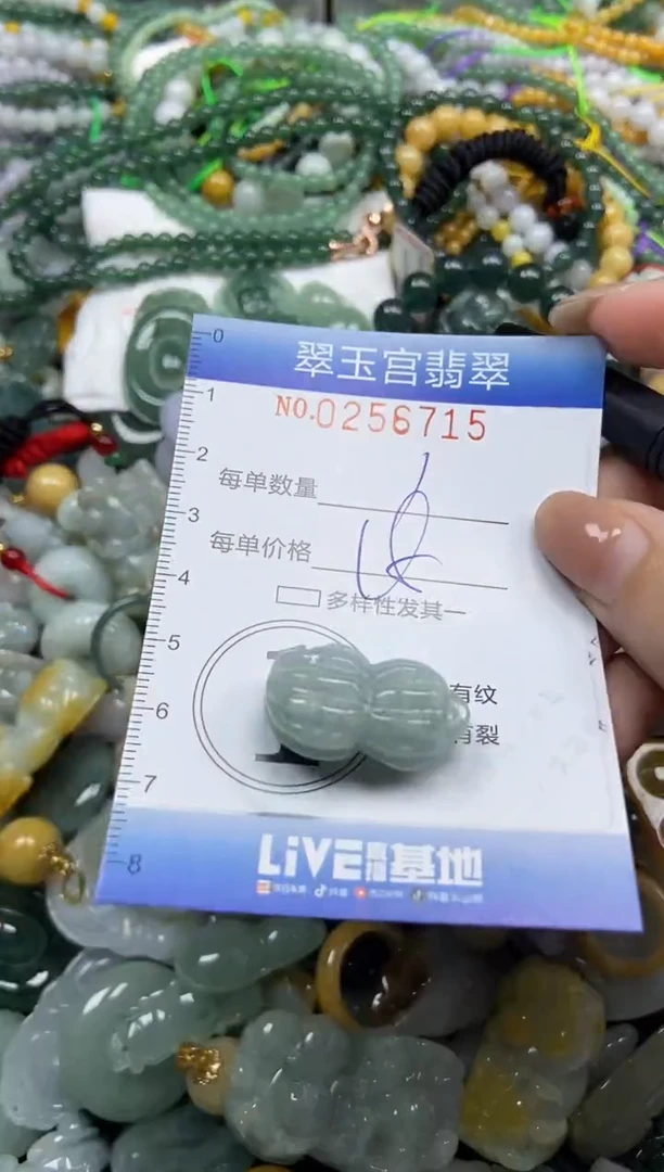 颈饰未镶嵌翡翠闪购C0256715