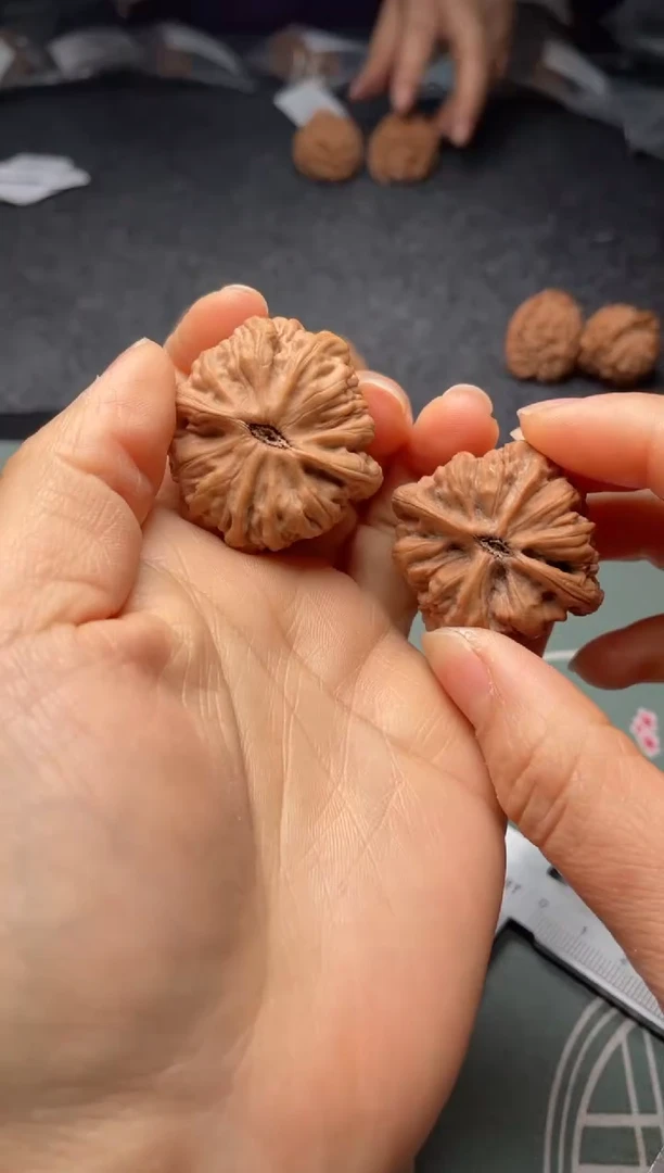 把件文玩核桃w376   九龙   37