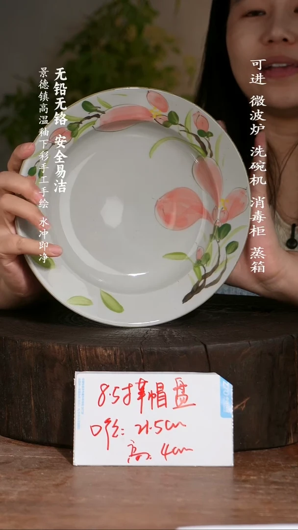 碗陶瓷景德镇高温瓷釉下彩手绘陶瓷